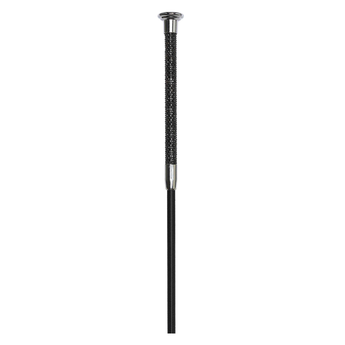 Dressage whip IRHStones