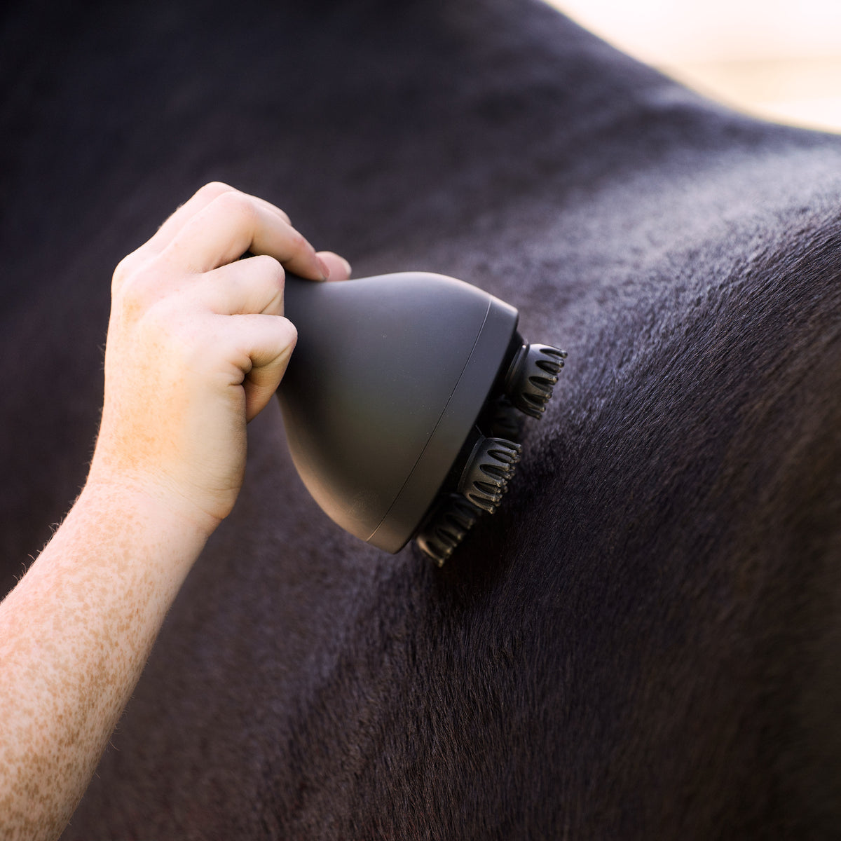Grooming & Relaxation brush IRHVolta