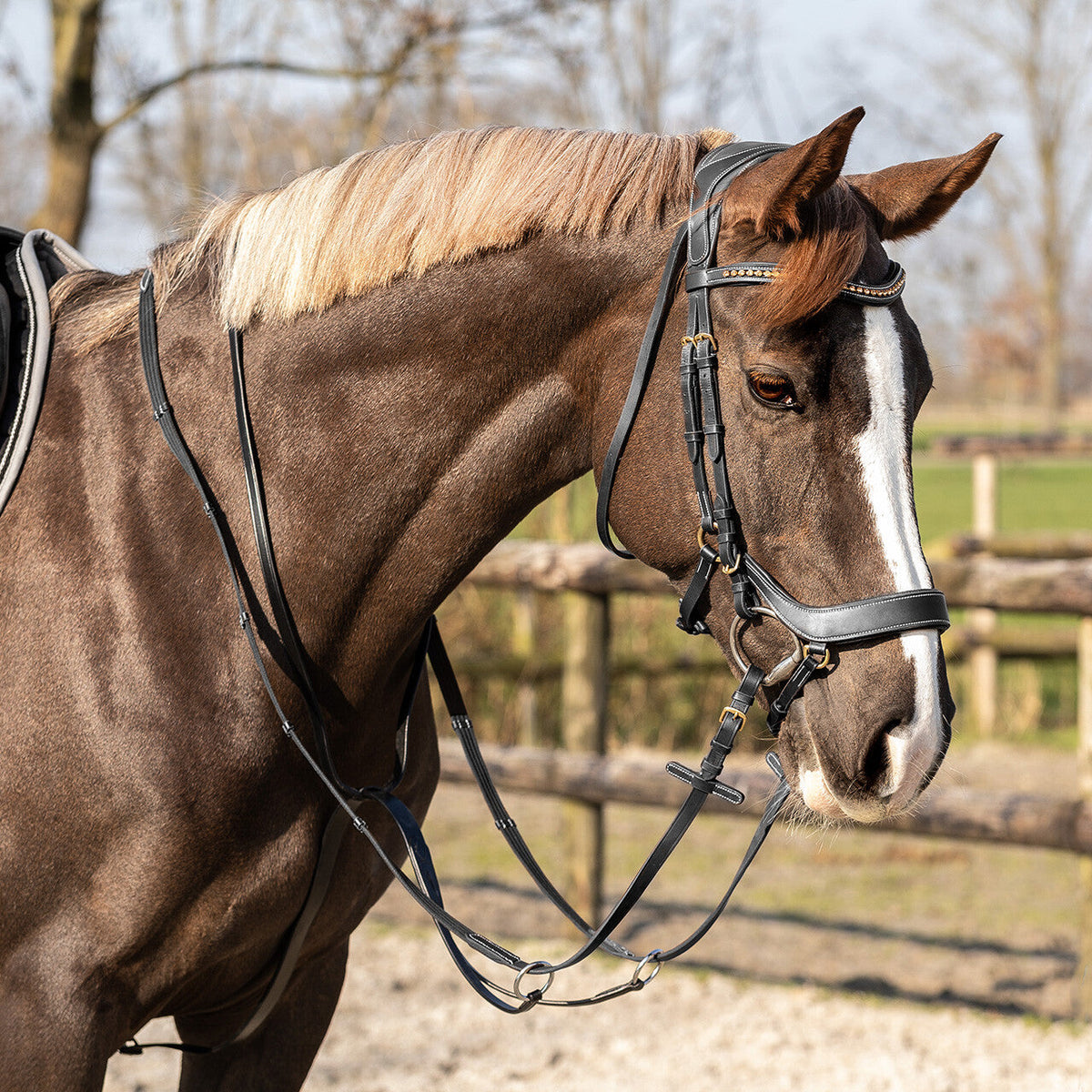 Martingale Basic pro