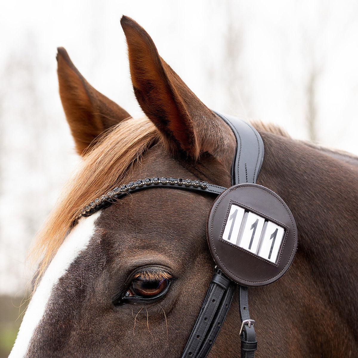 Number holder Modeste round