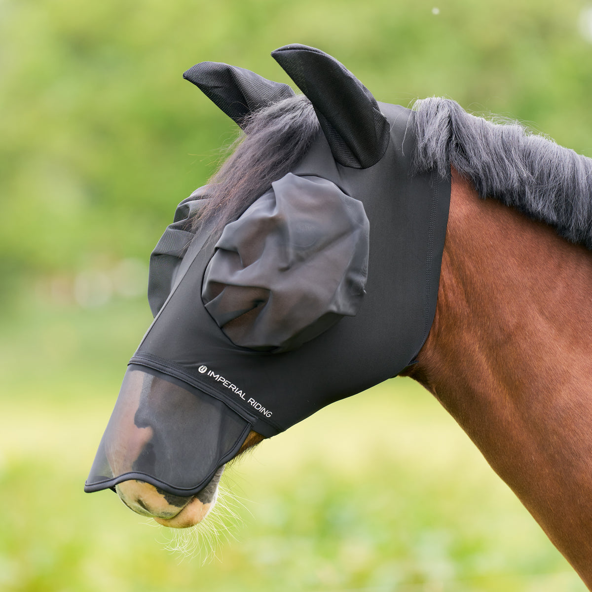Flymask with nose IRHTrail ride