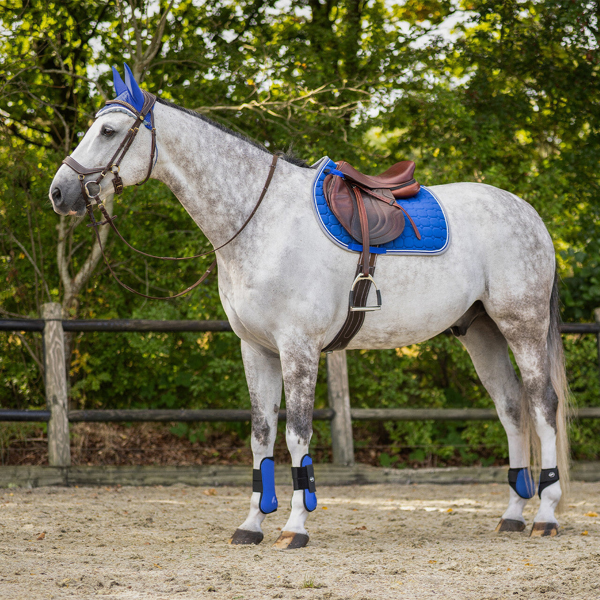 Saddle pad Florence