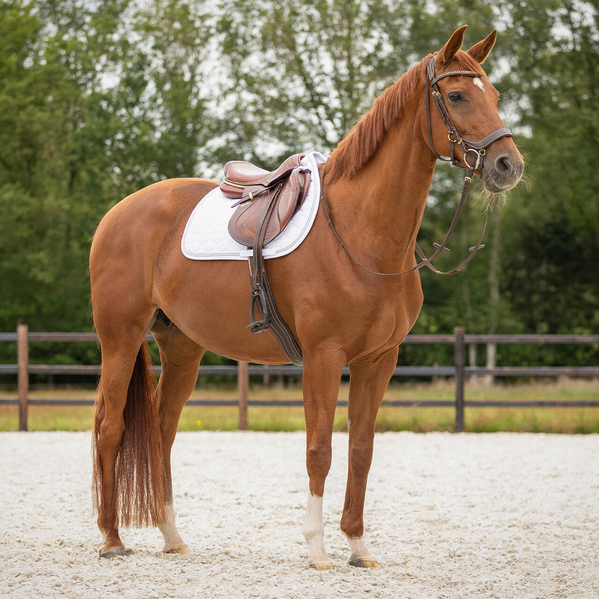 Saddle pad Sparkle