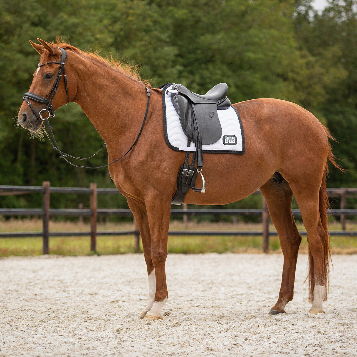 Saddle pad Number