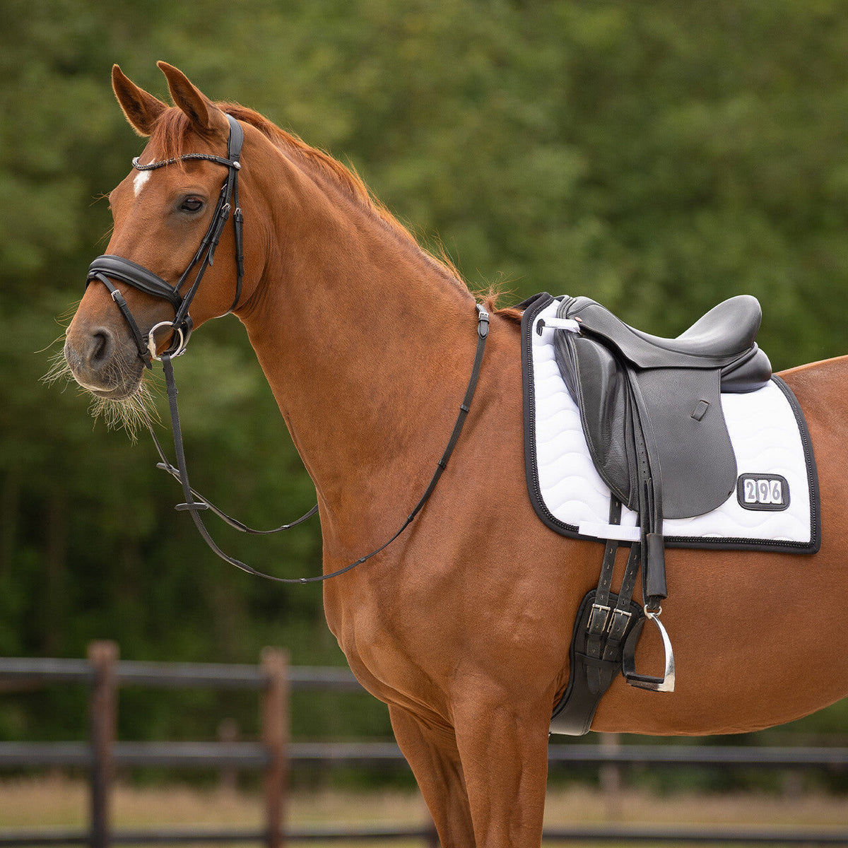 Saddle pad Number