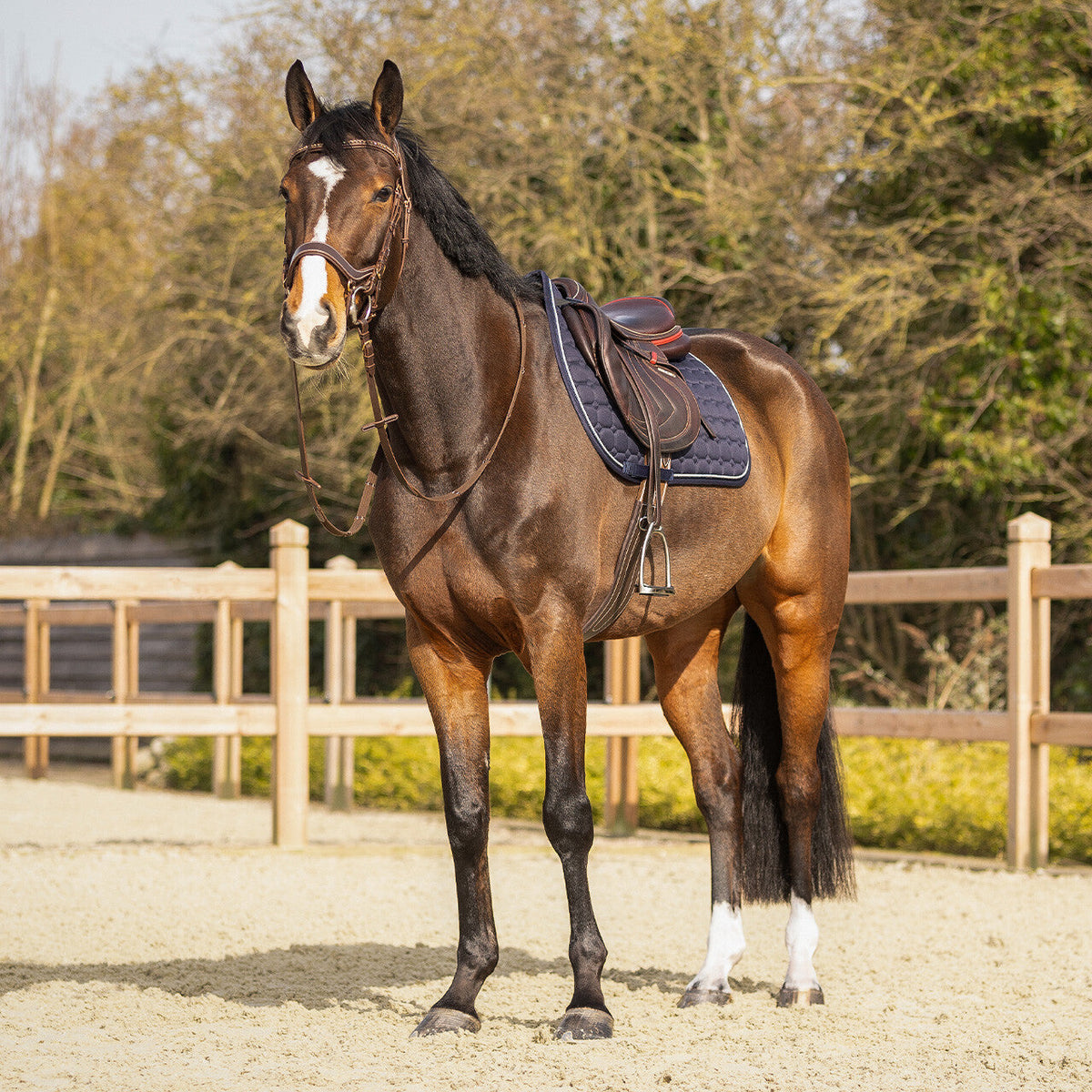 Saddle pad Firenze