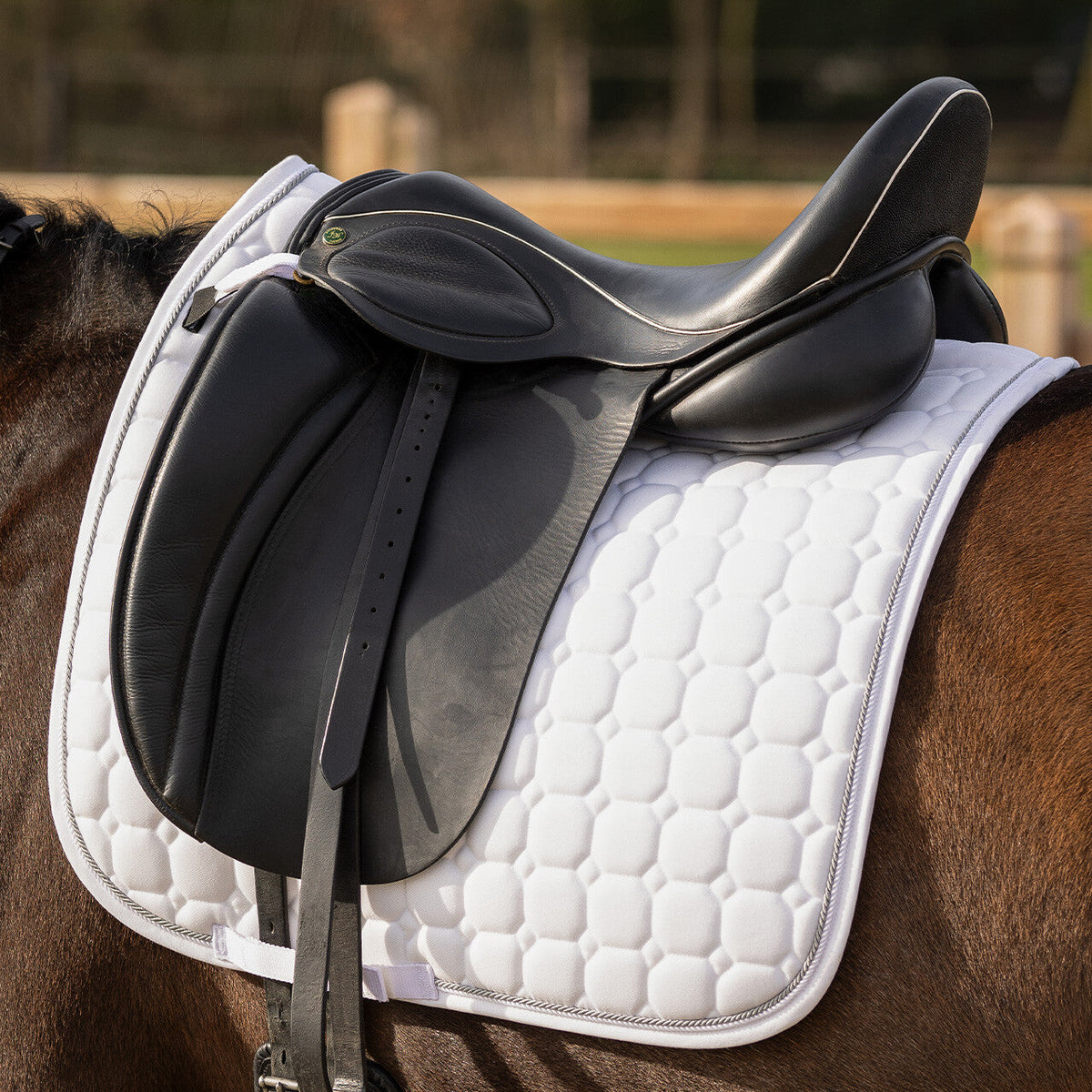 Saddle pad Firenze