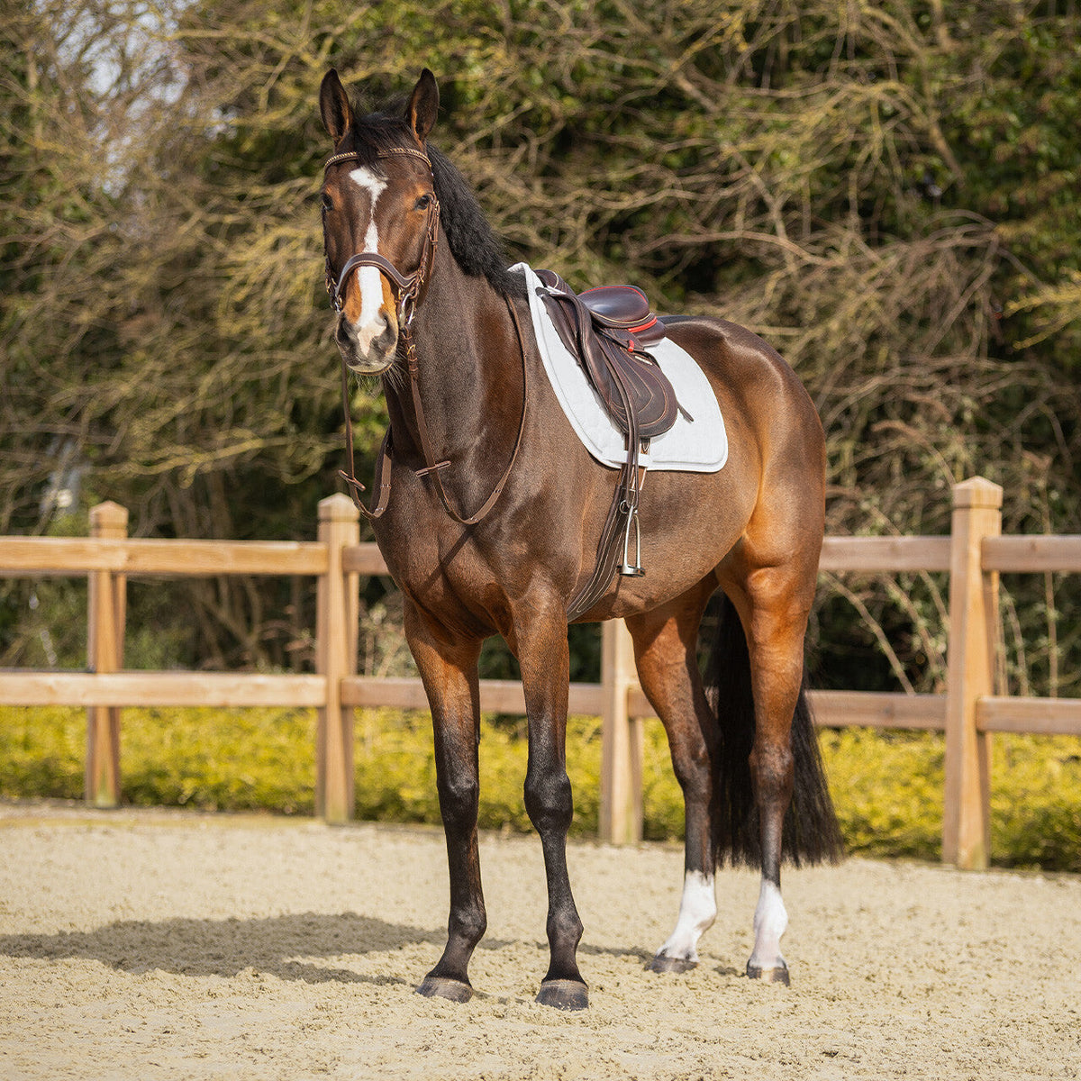 Saddle pad Firenze