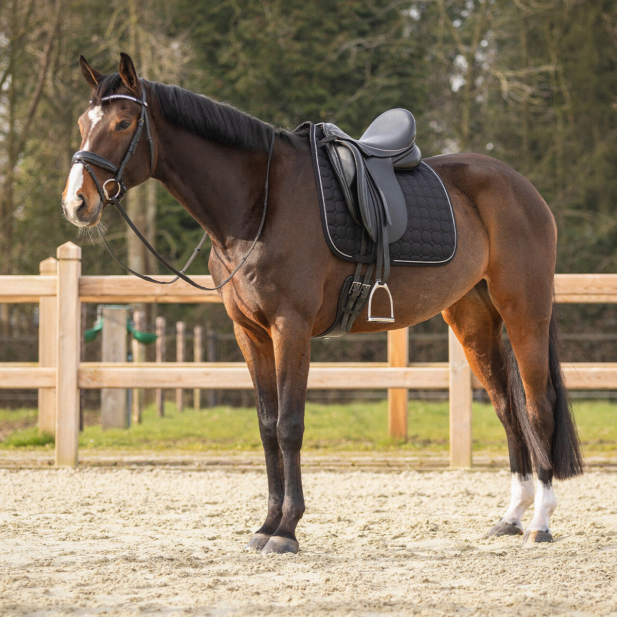 Saddle pad Firenze