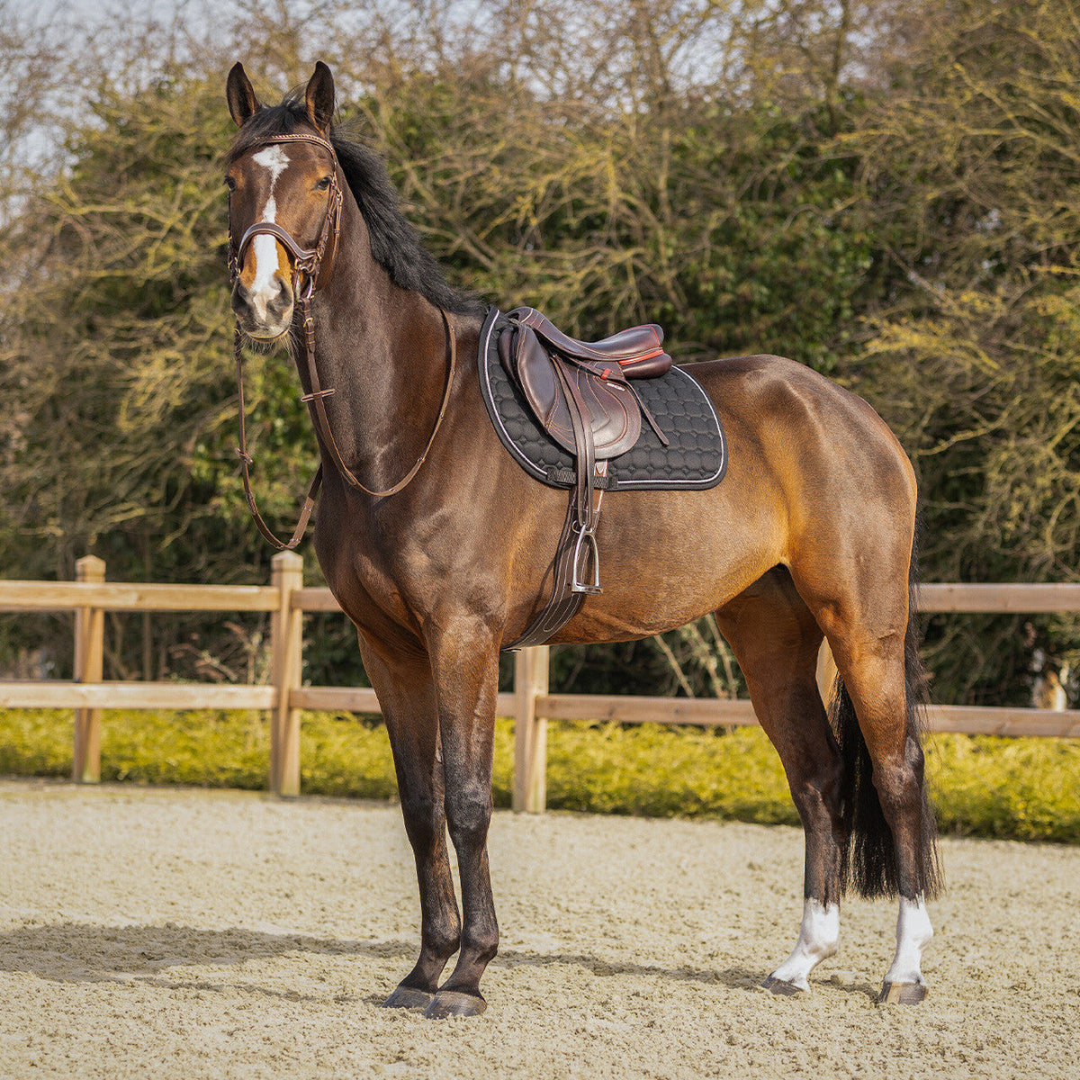 Saddle pad Firenze