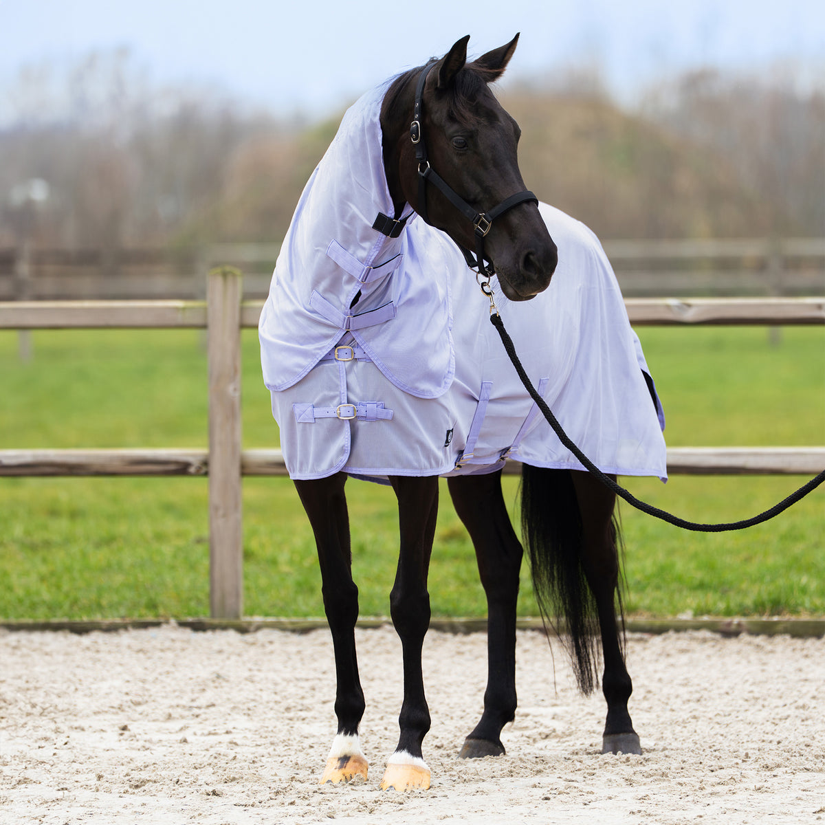 Fly blanket IRHReese