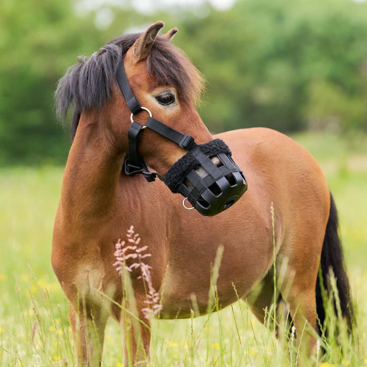 Grazing Muzzle with fur IRH