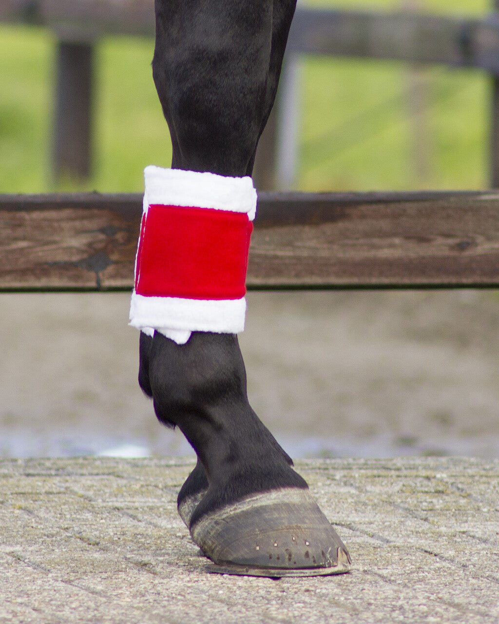 Bandages Christmas