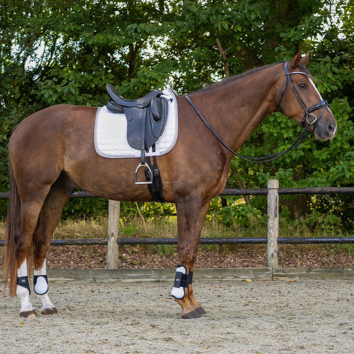 Tendon boots
