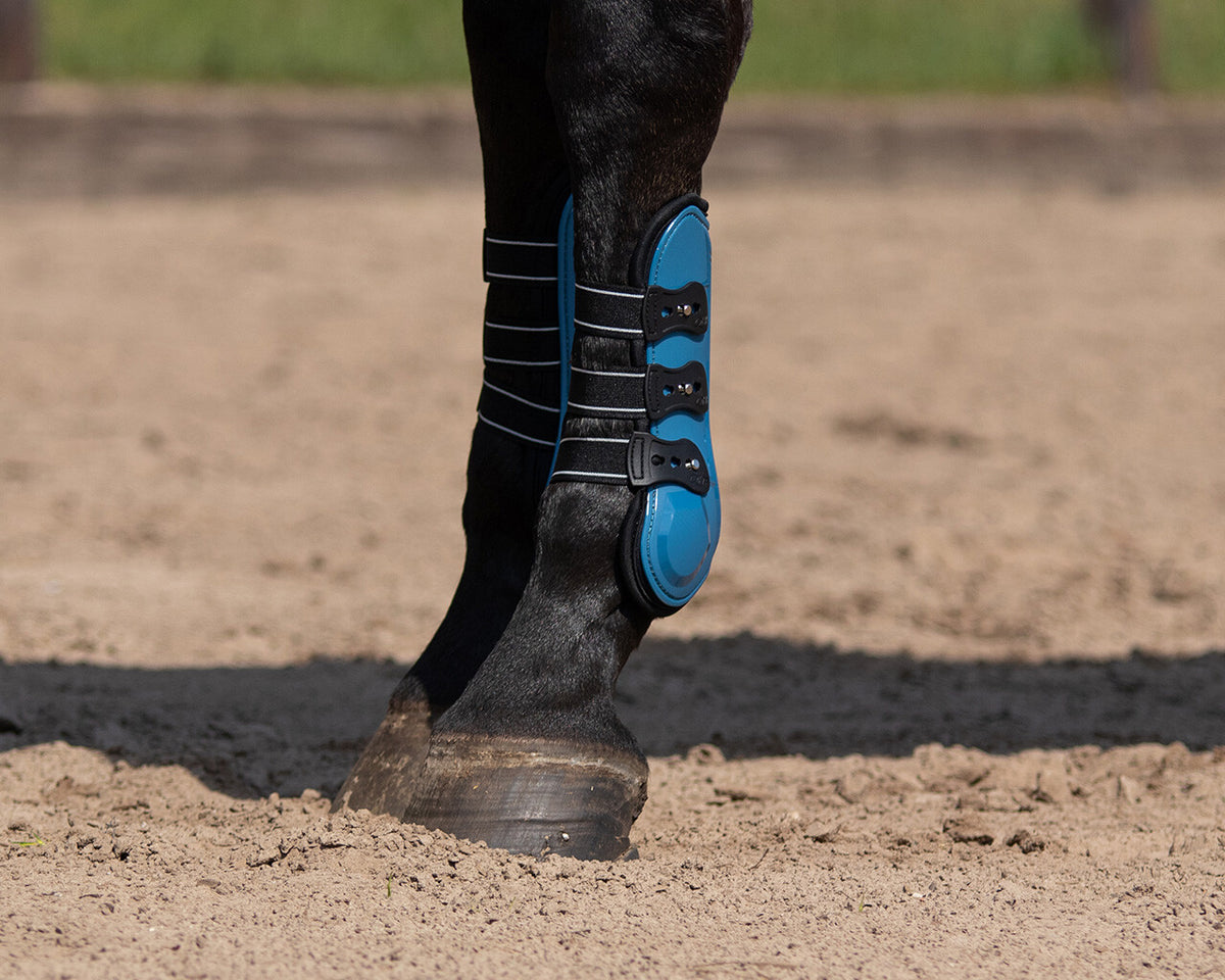 Tendon boots Champion