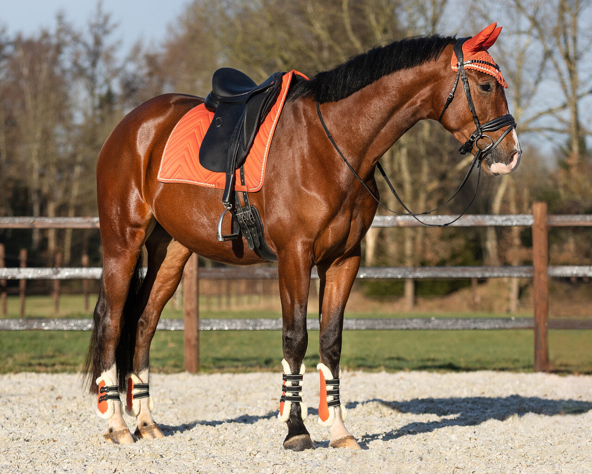 Fetlock boots Menton