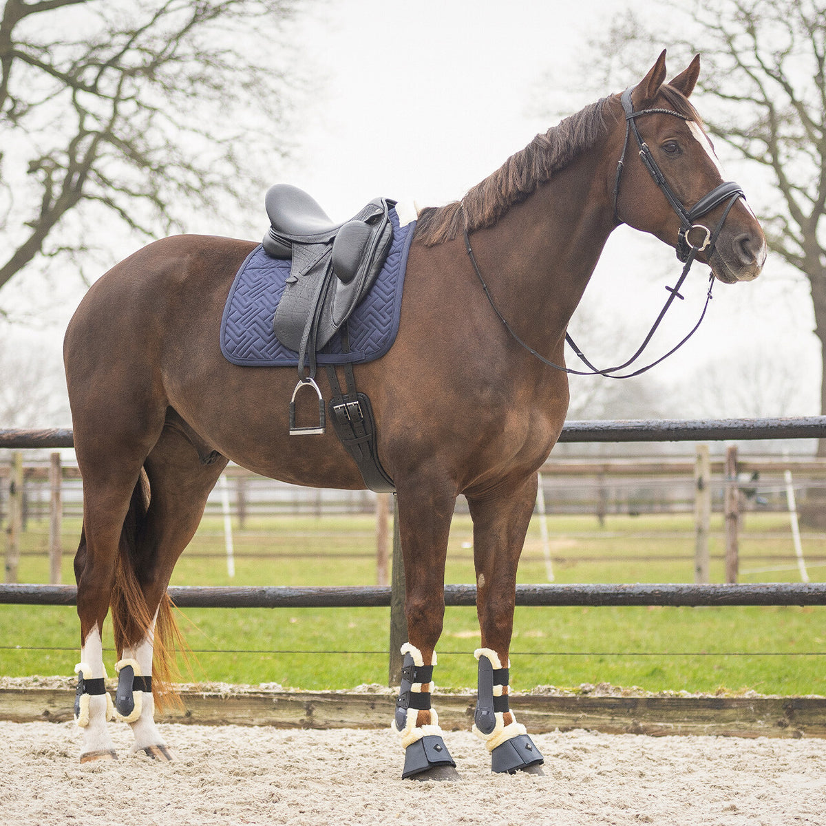 Fetlock boots Sensisoft