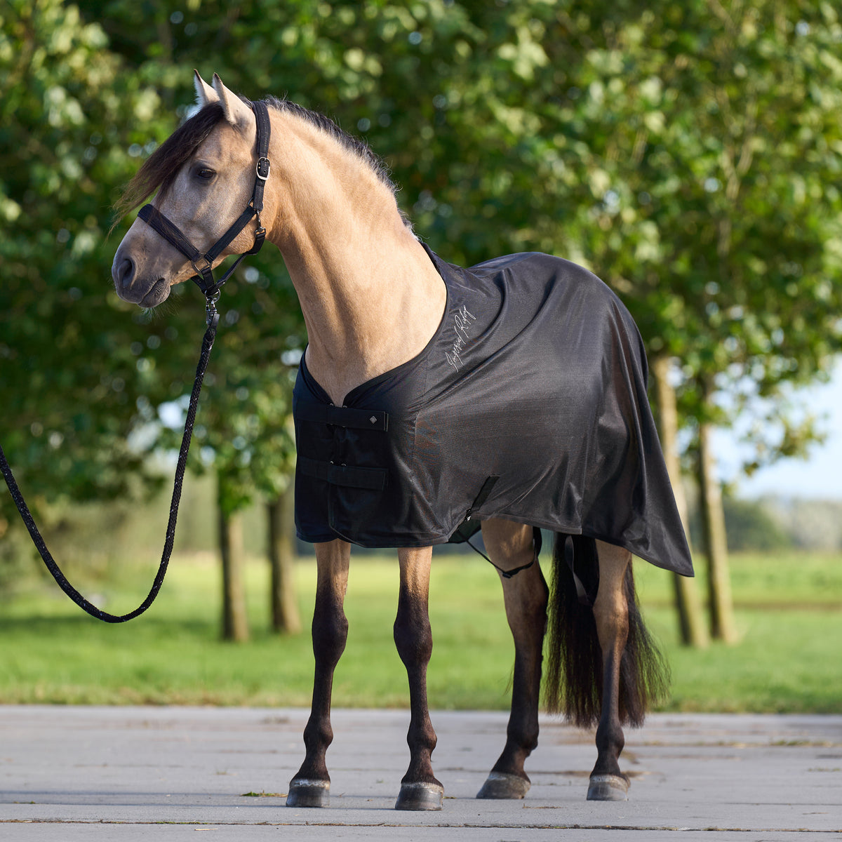 Transport blanket IRHMesh