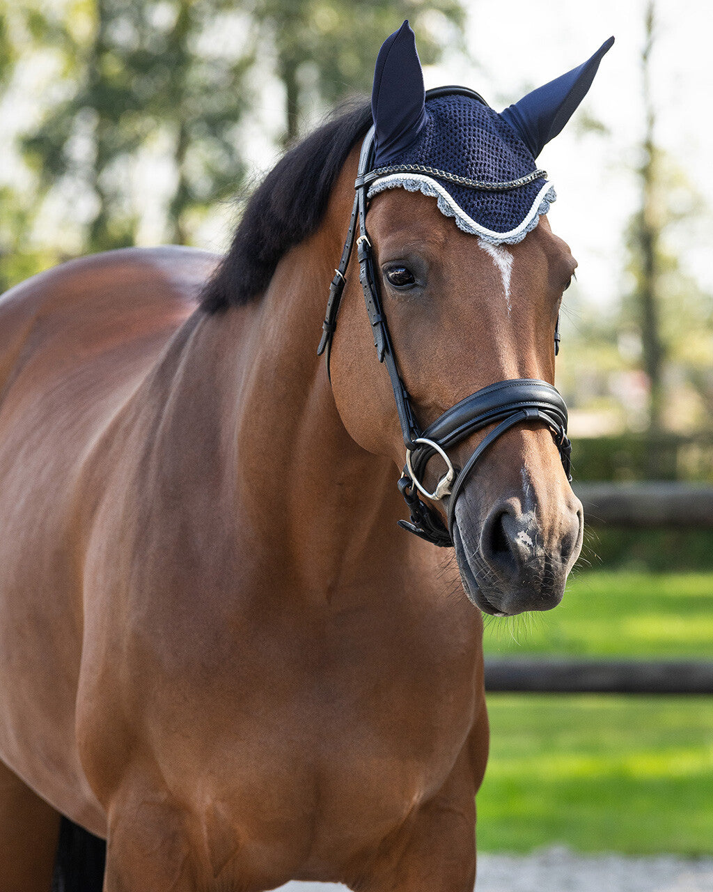 Ear hat Color