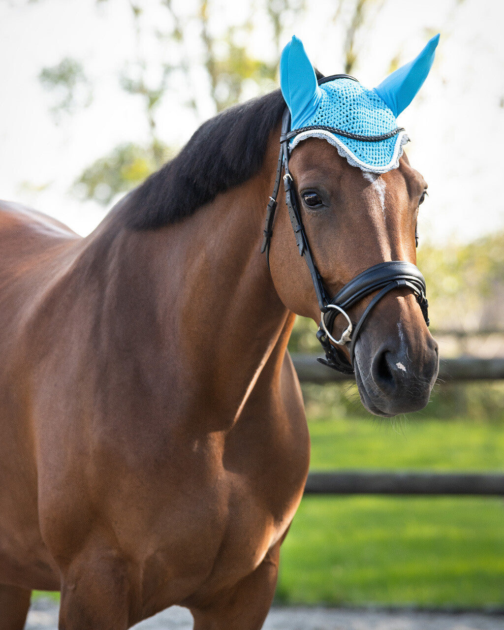 Ear hat Color
