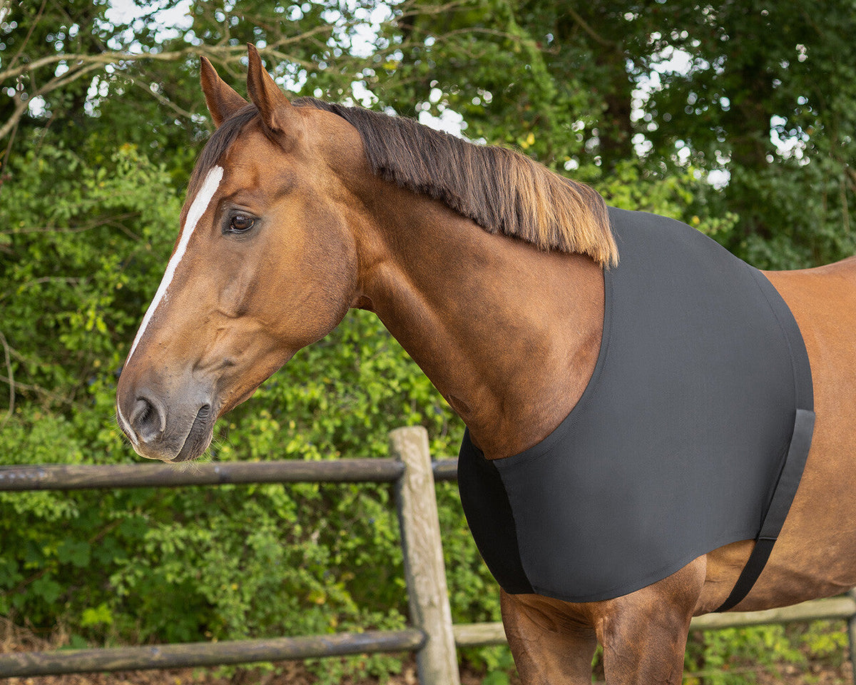 Chest protector elastic
