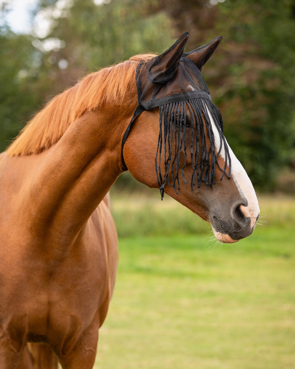 Fly fringe with ears