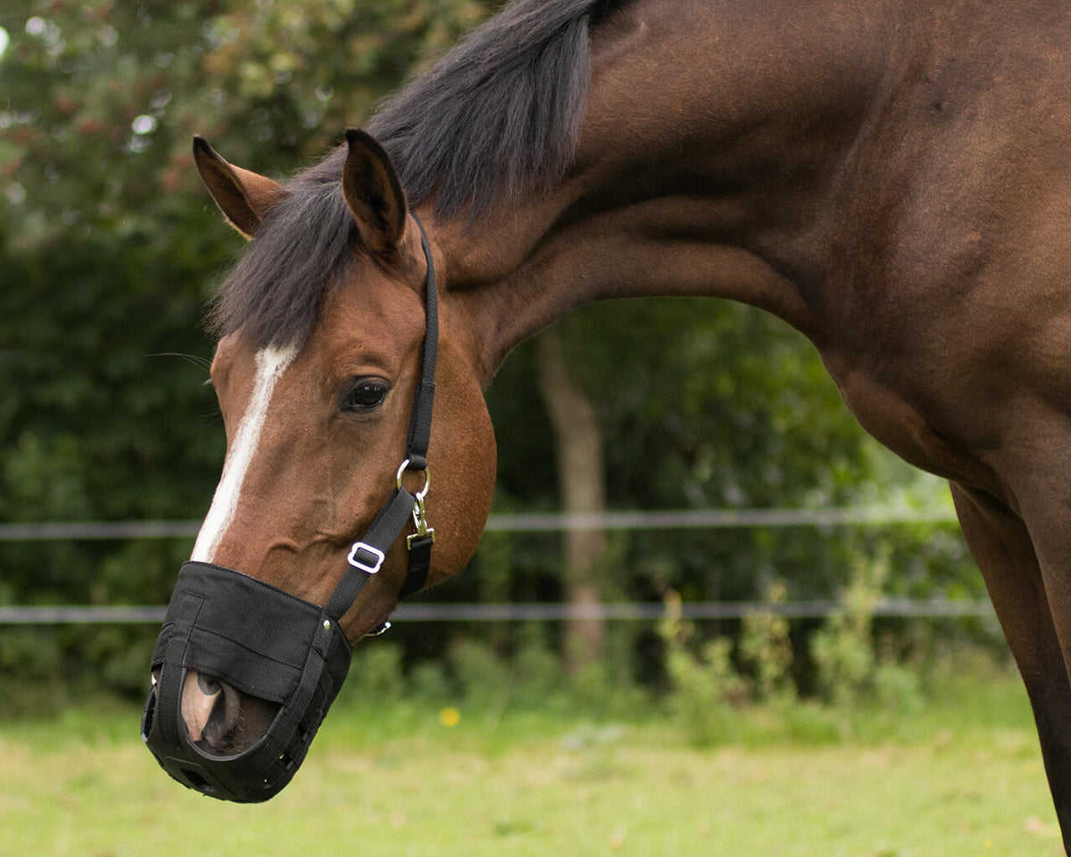 Grazemuzzle with nostrils