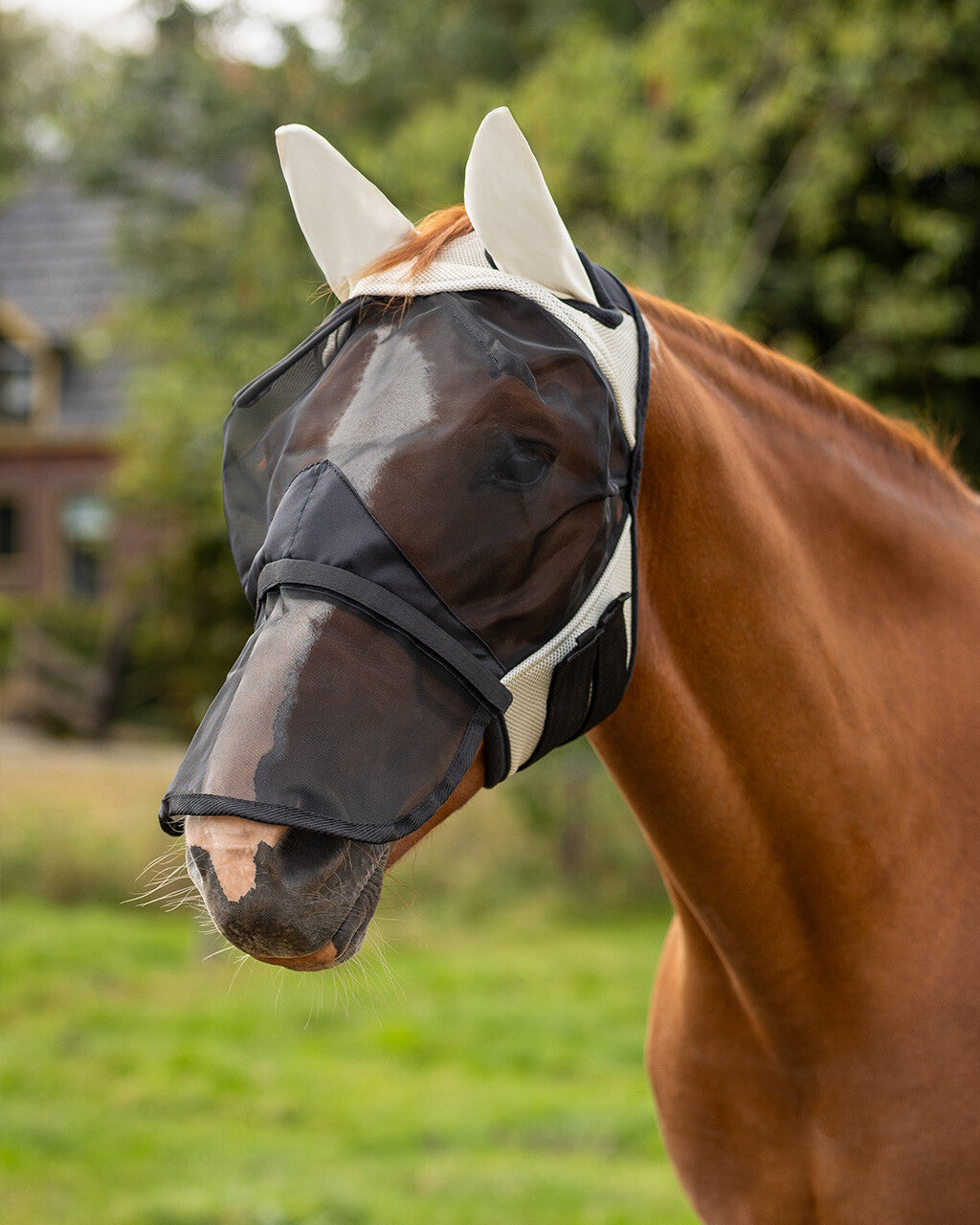 Fly Mask with detachable nose flap