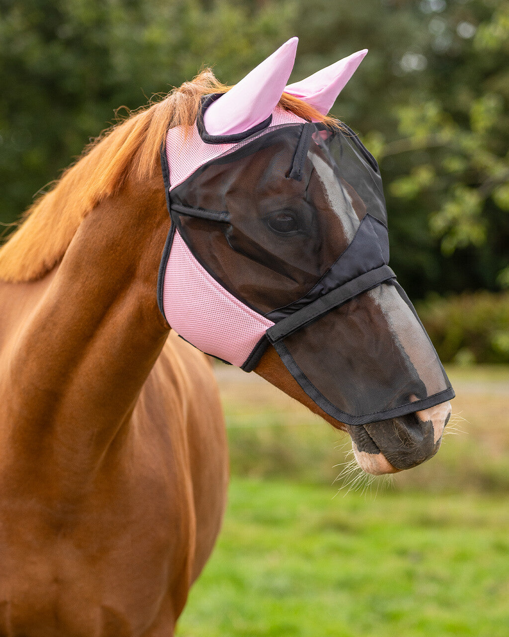 Fly Mask with detachable nose flap