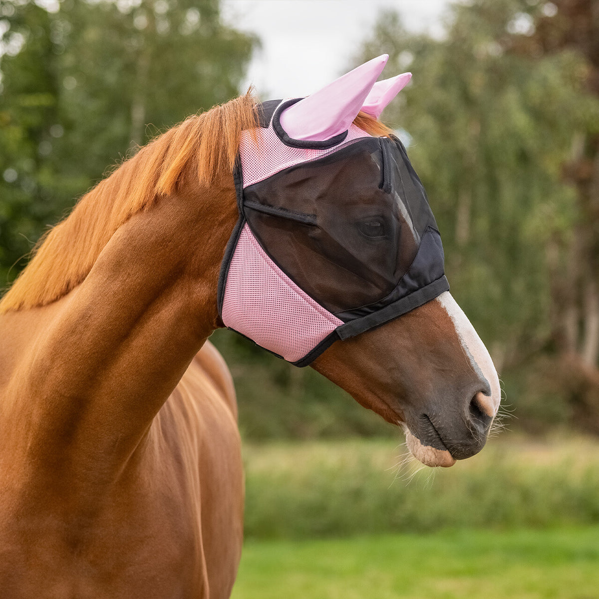 Fly Mask with detachable nose flap