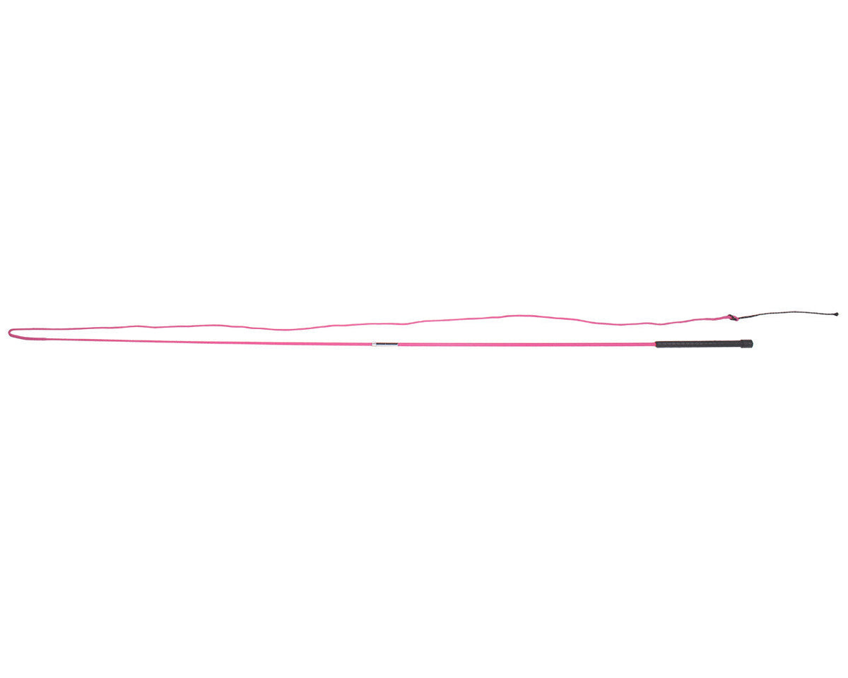 Lunging whip divisible