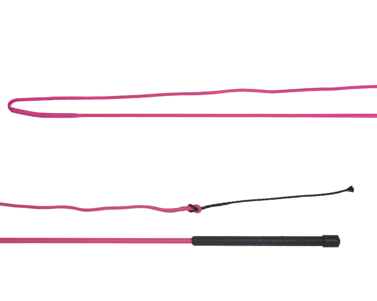 Lunging whip divisible