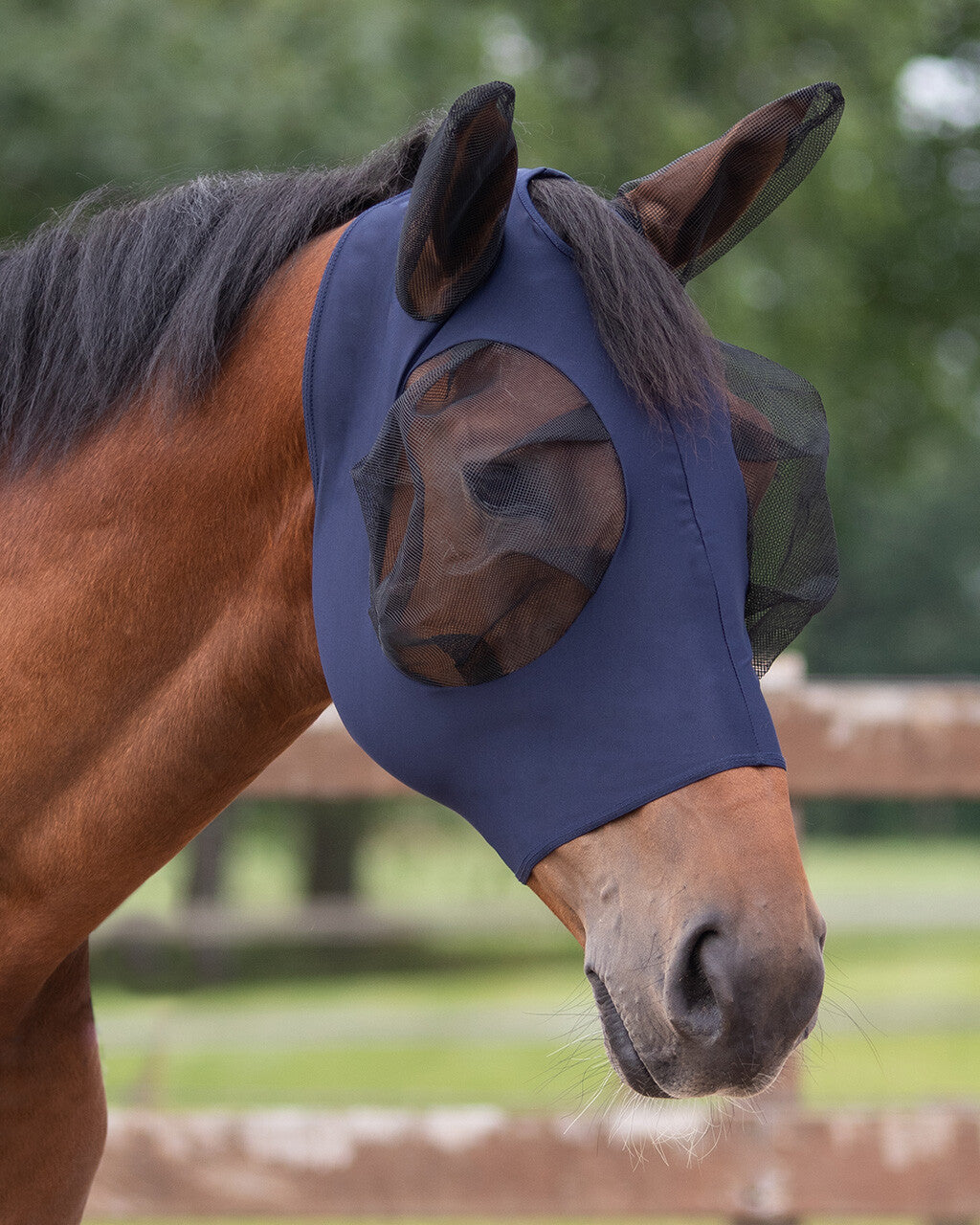 Fly Mask Super bug