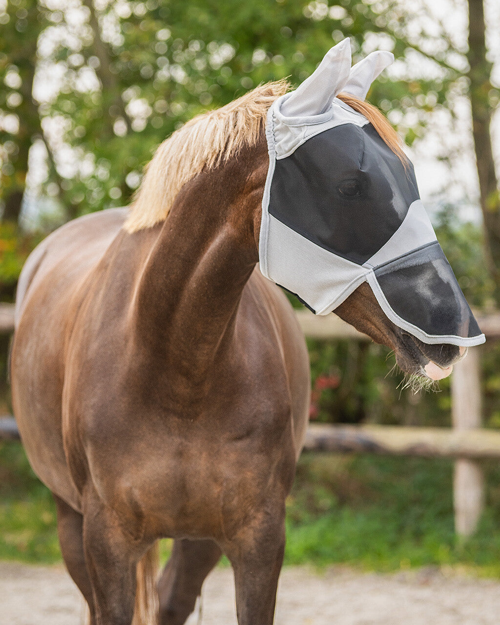 Fly mask Solaire