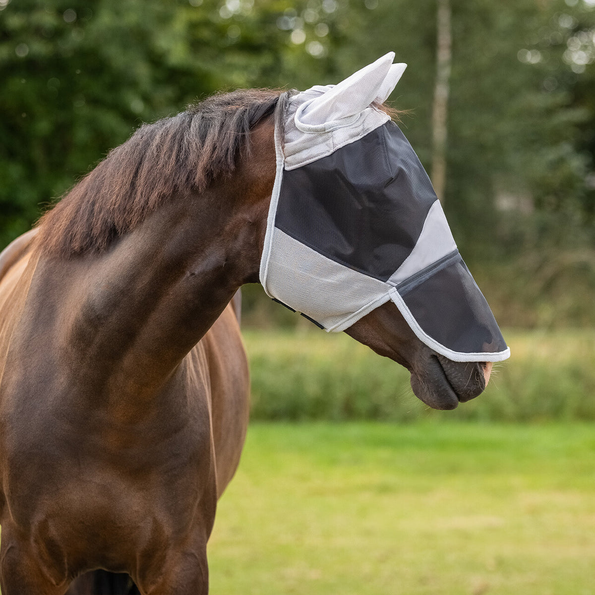 Fly mask Solaire