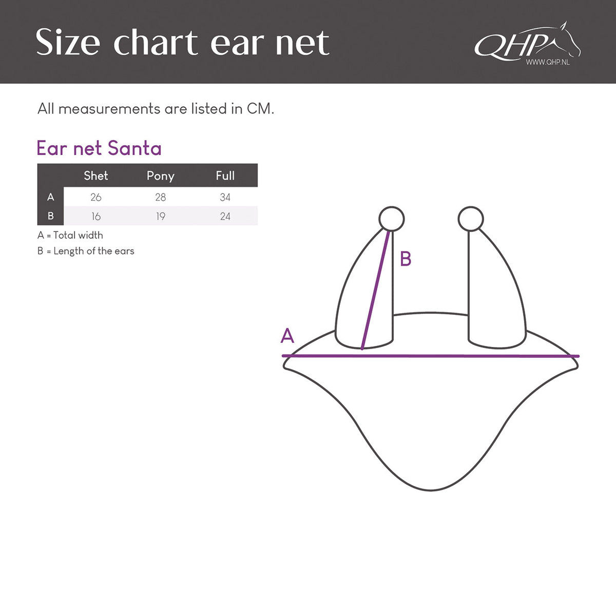 Ear net Santa Christmas