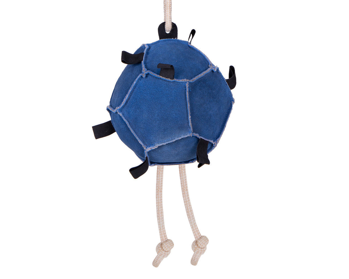Horse toy ball