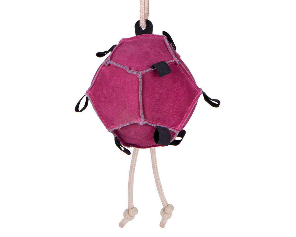 Horse toy ball
