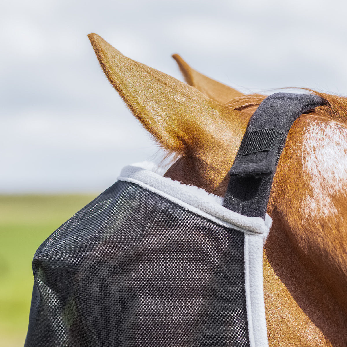 Fly mask Solaire without ear protection