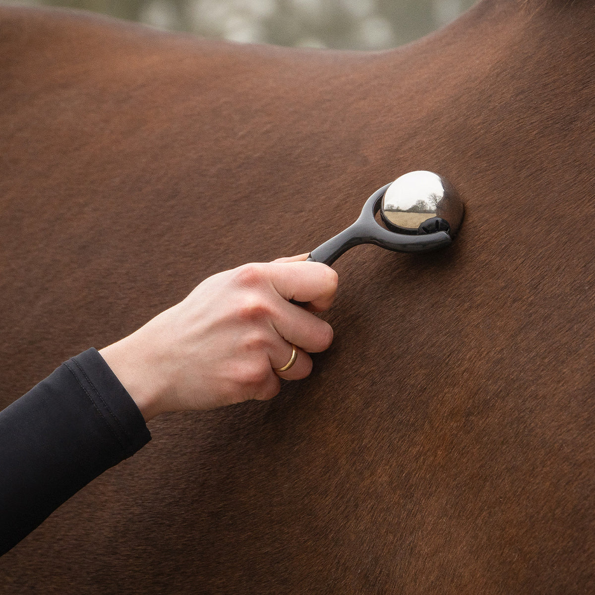 Horse Massage Roller