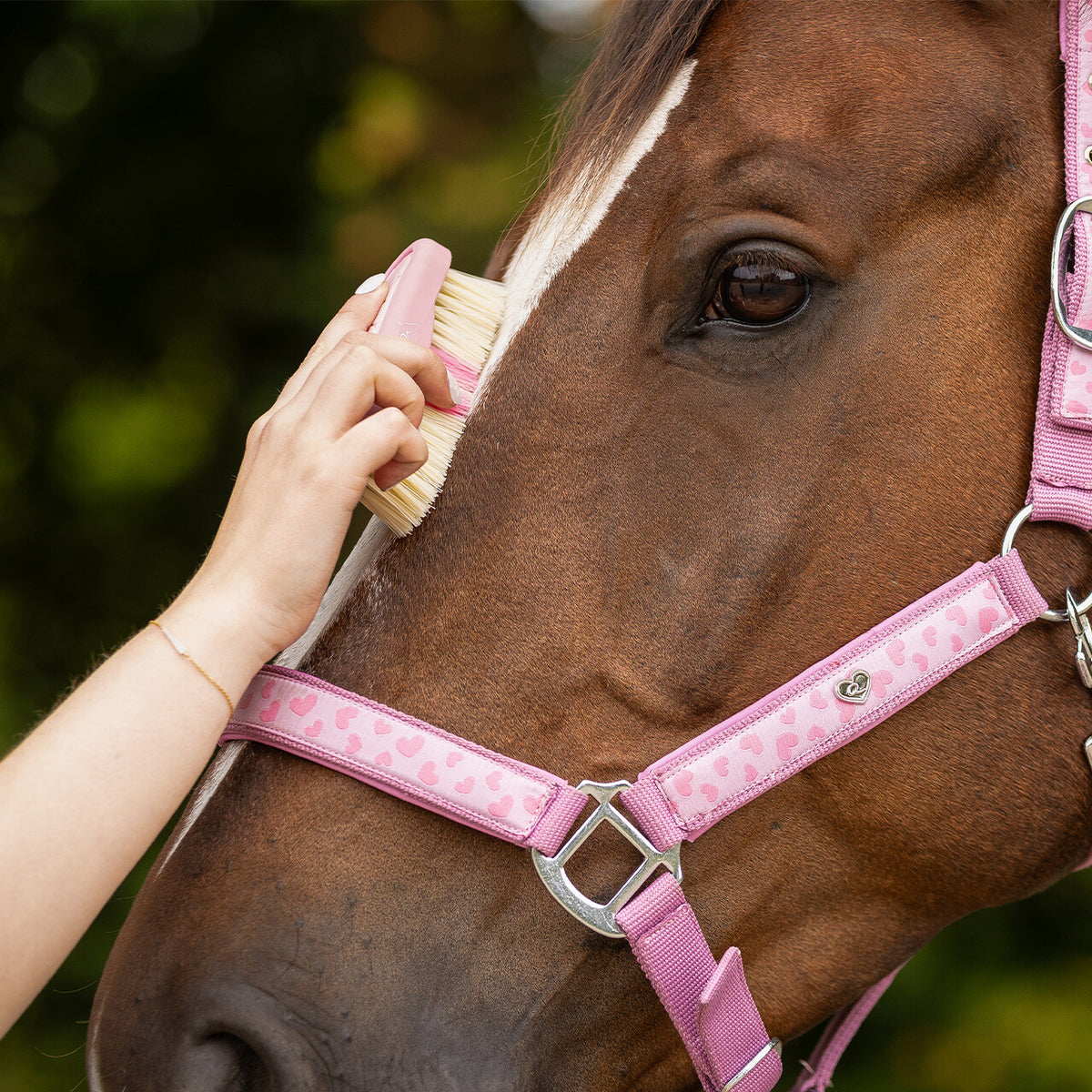 Head brush Lyvia