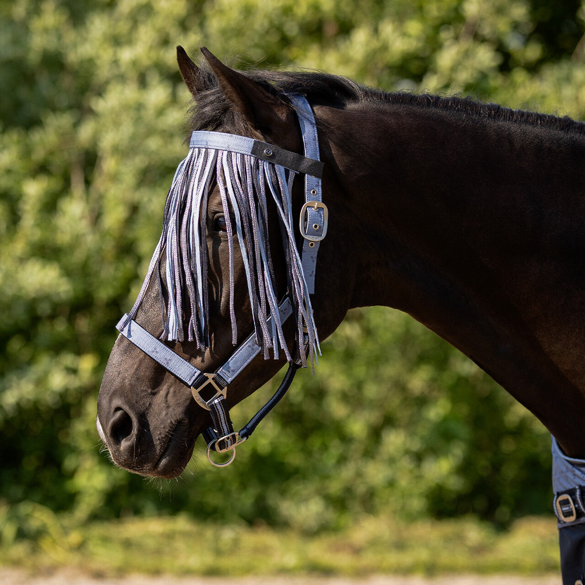 Fly fringe collection
