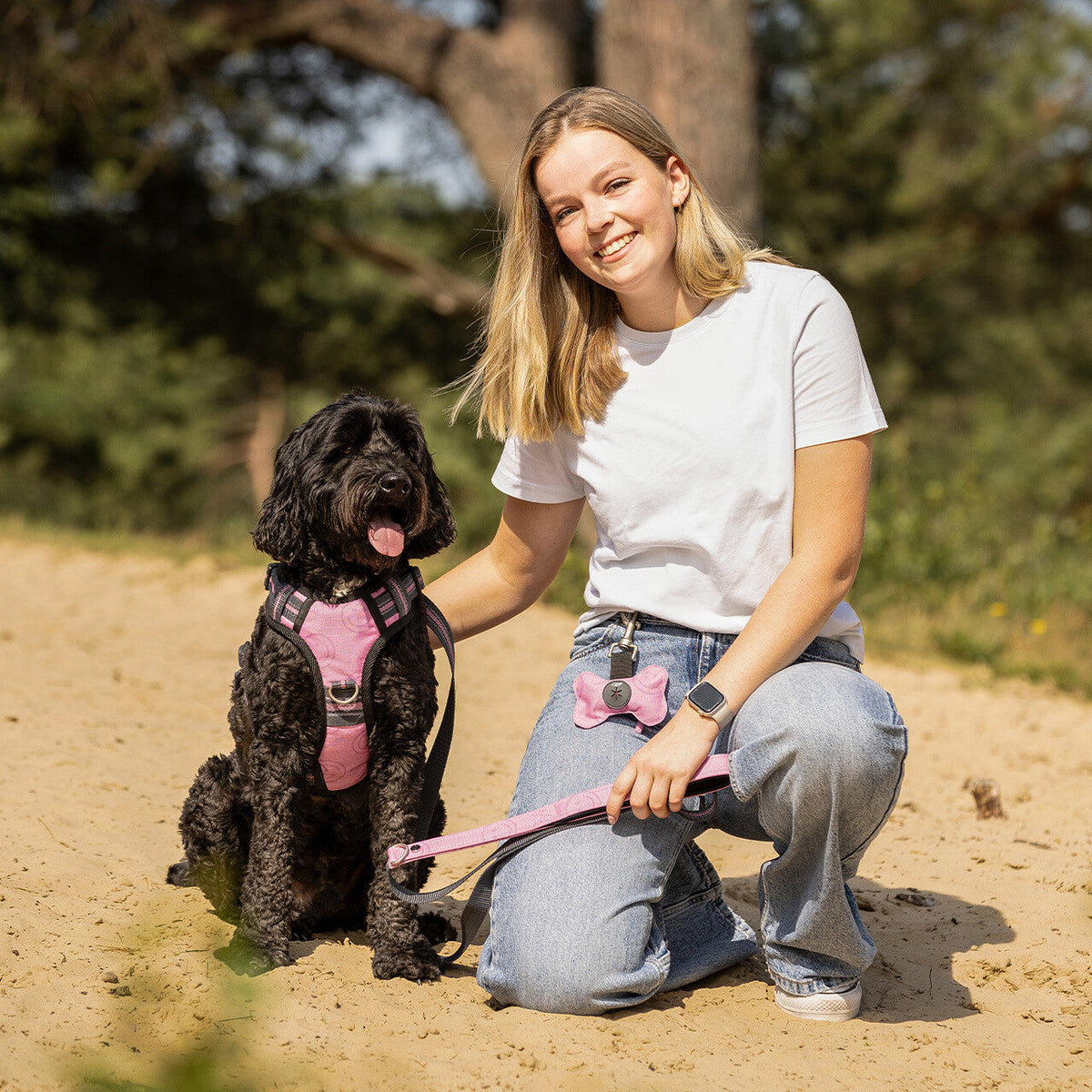 Dog leash collection