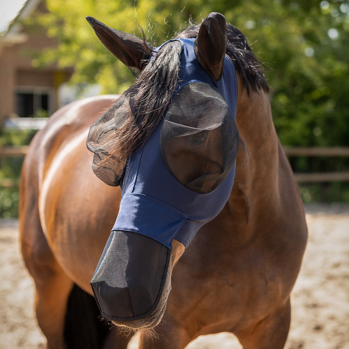 Fly mask Super bug with nose protection