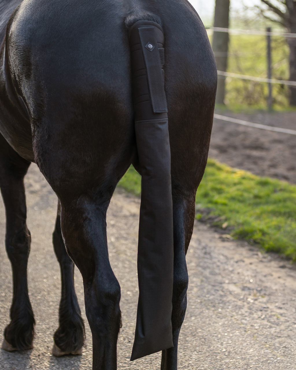 Tailprotector with bag