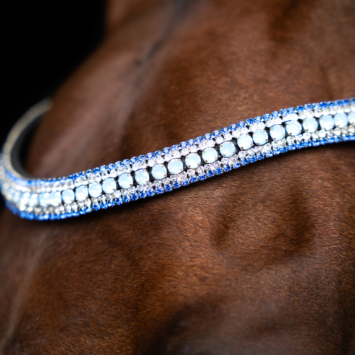 Browband IRHMaxima