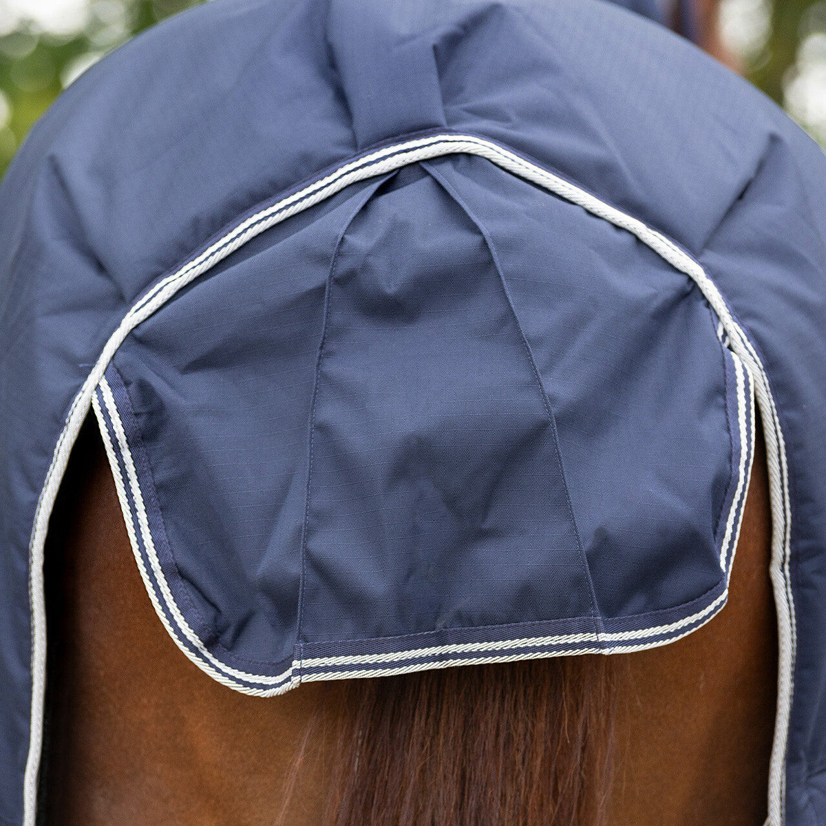 Turnout rug 600D with neck 300gr