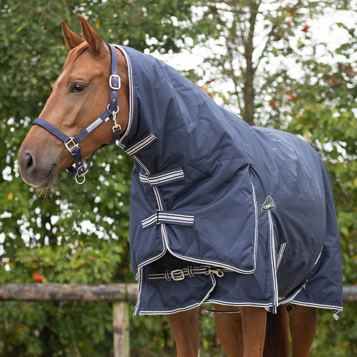 Turnout rug 600D with neck 300gr