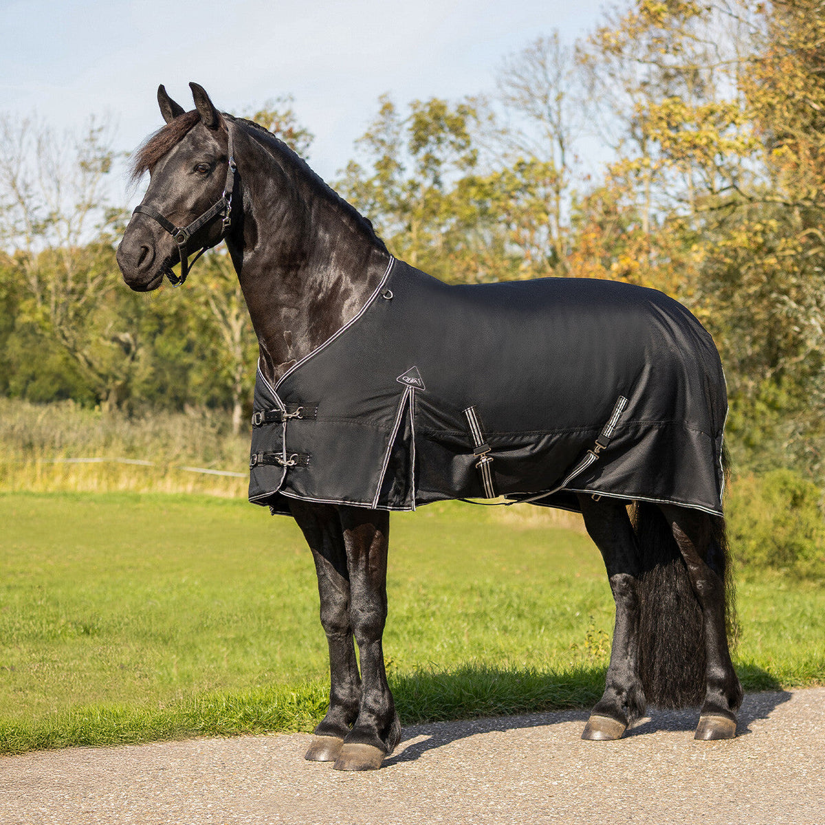 Turnout rug Big neck 300gr