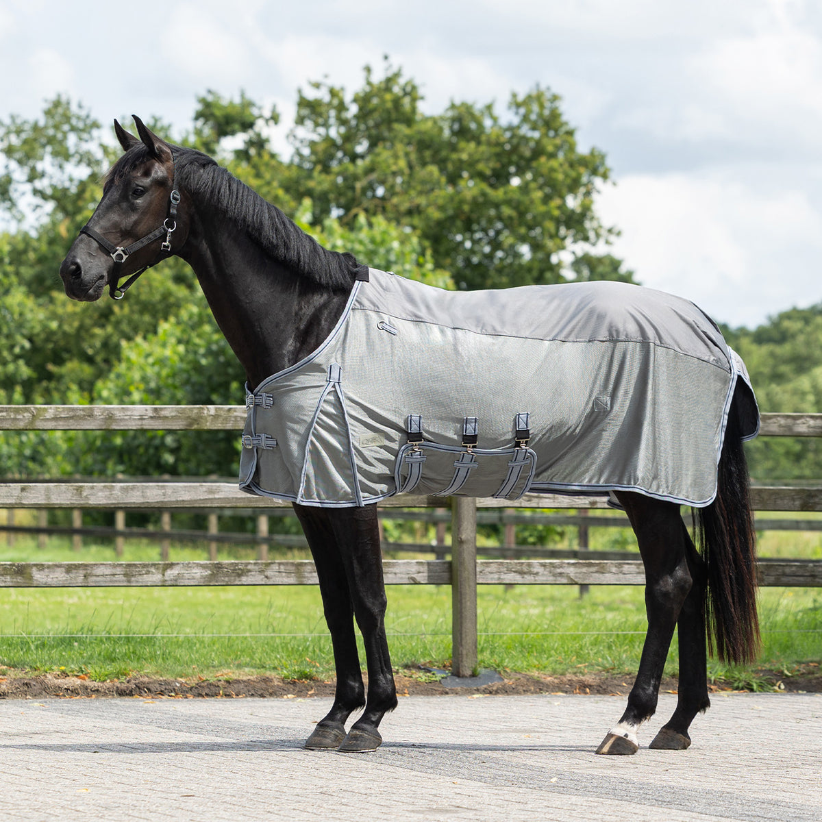 Fly rug Combo with neck